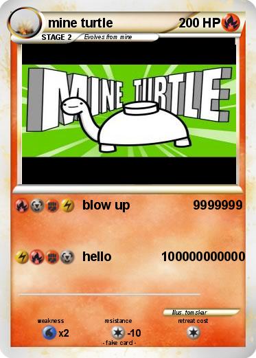 Pokemon mine turtle