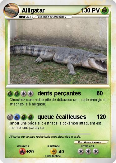 Pokemon Alligatar