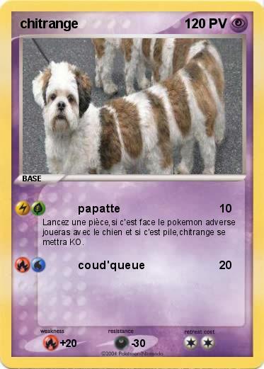 Pokemon chitrange