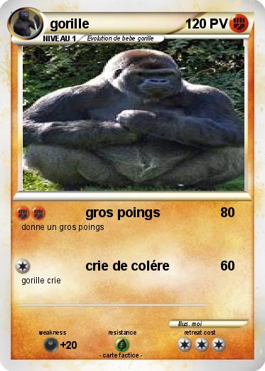Pokemon gorille