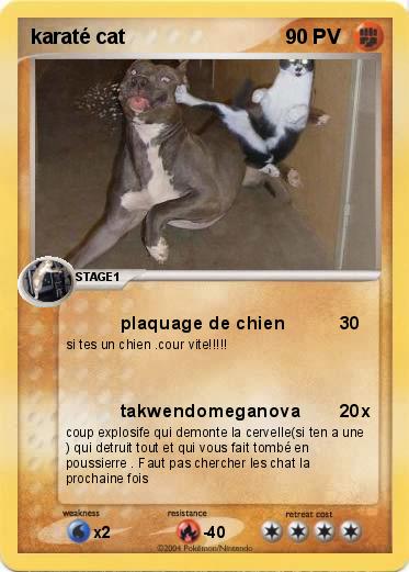 Pokemon karaté cat