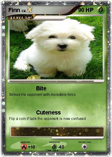 Pokemon Finn