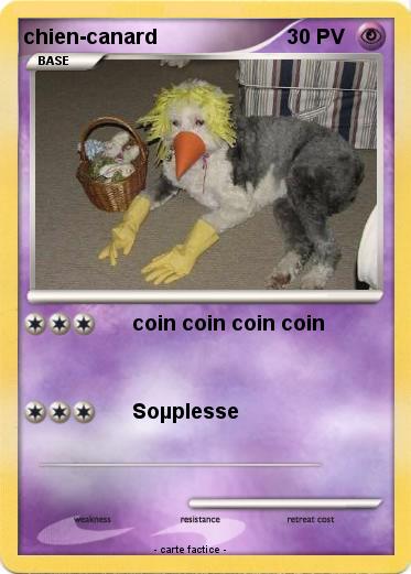 Pokemon chien-canard