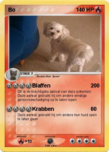 Pokemon Bo