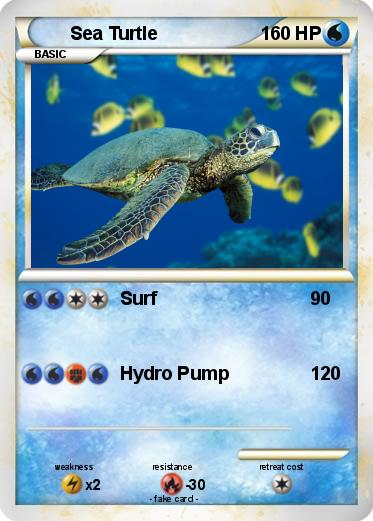 Pokemon Sea Turtle