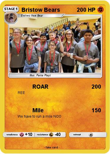 Pokemon Bristow Bears