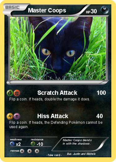 Pokemon Master Coops