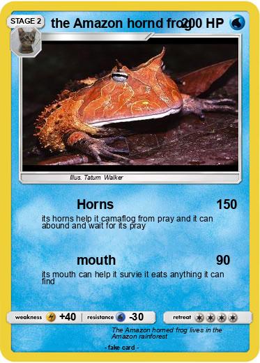 Pokemon the Amazon hornd frog