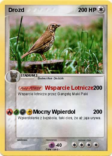 Pokemon Drozd