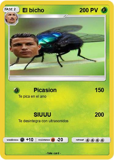 Pokemon El bicho