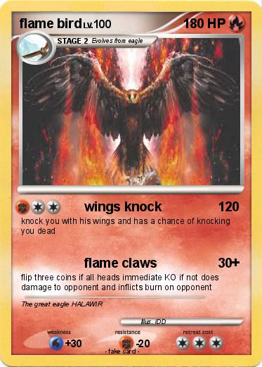 Pokemon flame bird