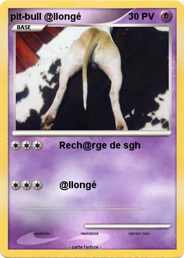 Pokemon pit-bull @llongé