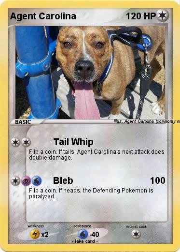 Pokemon Agent Carolina