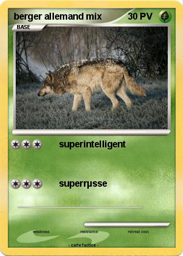 Pokemon berger allemand mix
