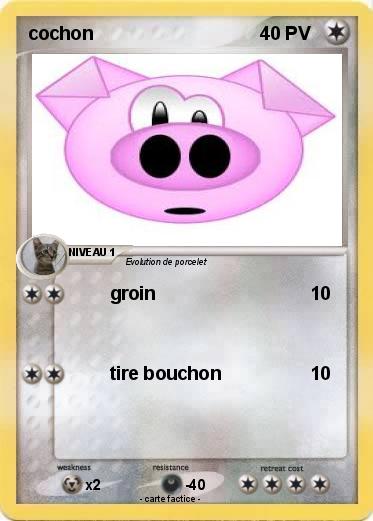 Pokemon cochon