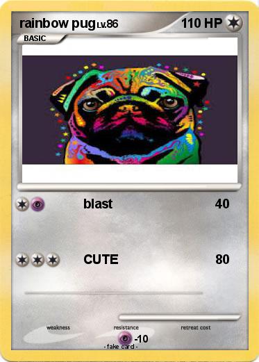 Pokemon rainbow pug