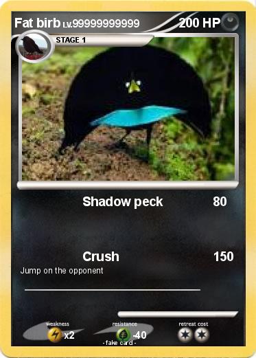 Pokemon Fat birb