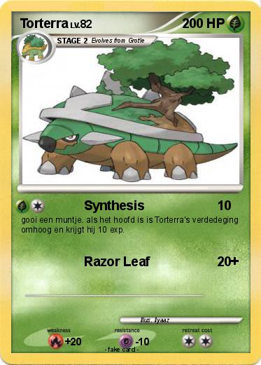 Pokemon Torterra