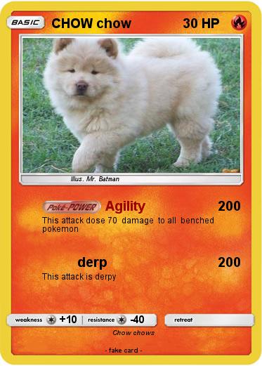 Pokemon CHOW chow