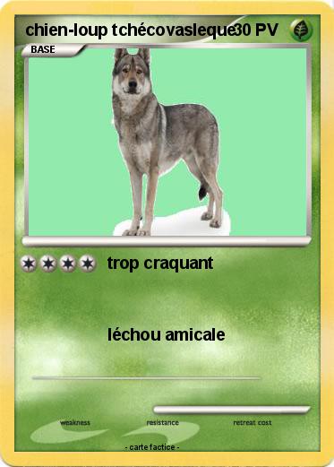 Pokemon chien-loup tchécovasleque