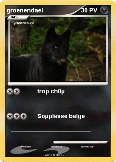 Pokemon groenendael