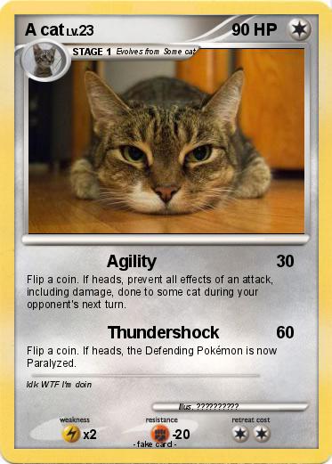 Pokemon A cat