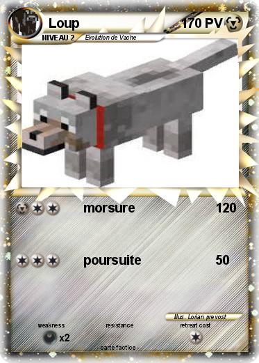 Pokemon Loup