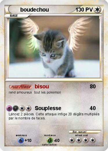 Pokemon boudechou