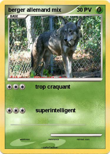 Pokemon berger allemand mix