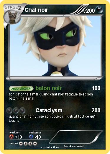 Pokemon Chat noir
