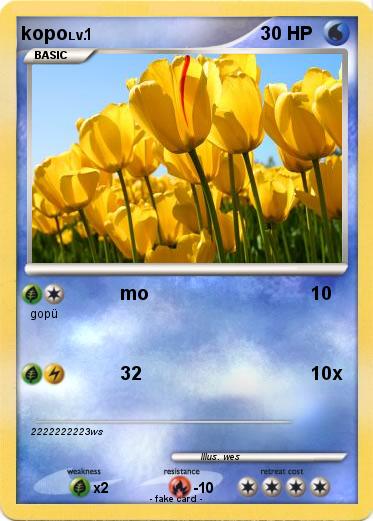 Pokemon kopo