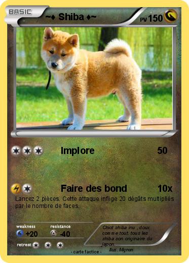 Pokemon ~♦ Shiba ♦~