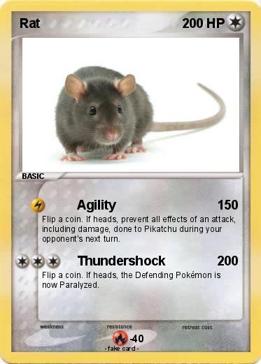 Pokemon Rat