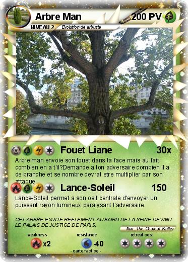 Pokemon Arbre Man