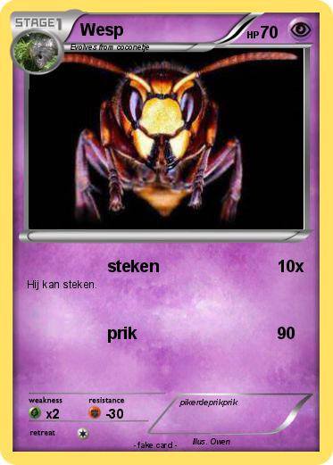 Pokemon Wesp