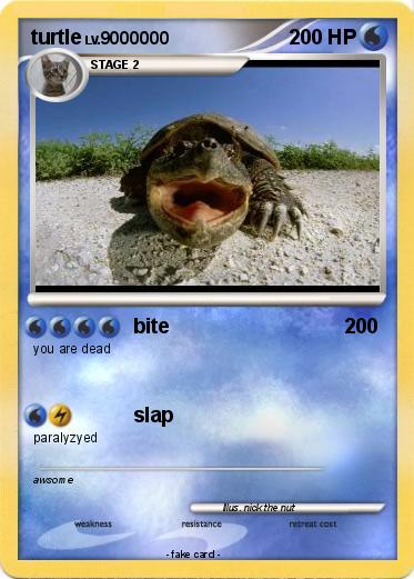Pokemon turtle