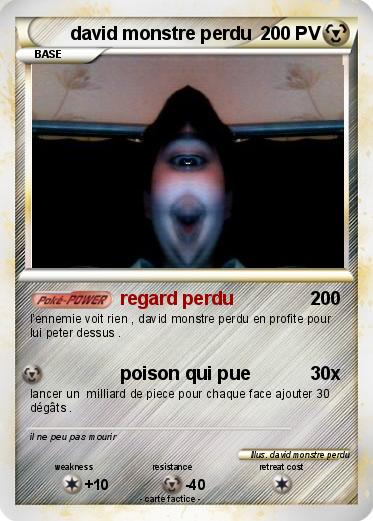 Pokemon david monstre perdu