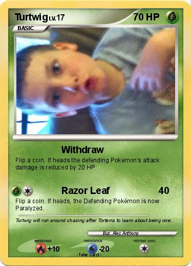 Pokemon Turtwig