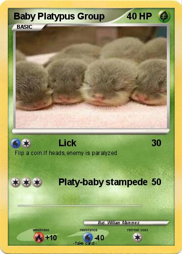 Pokemon Baby Platypus Group