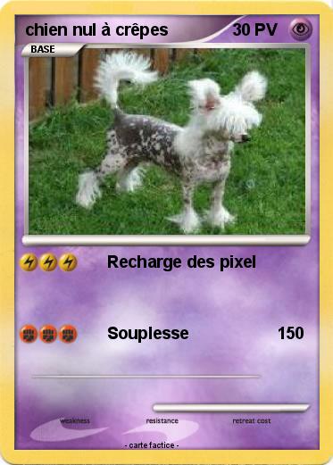 Pokemon chien nul à crêpes
