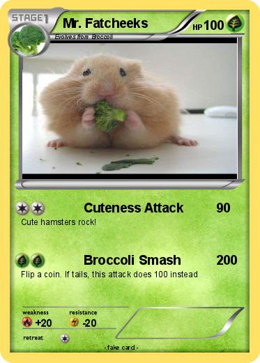 Pokemon Mr. Fatcheeks
