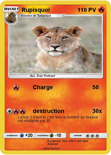 Pokemon Rupisquoi