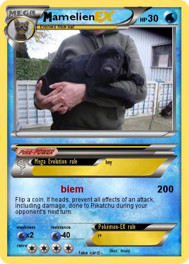 Pokemon amelien