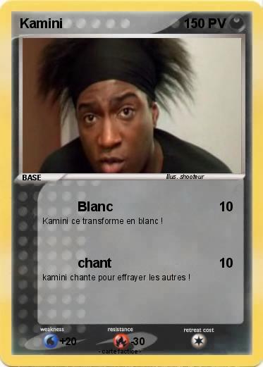 Pokemon Kamini