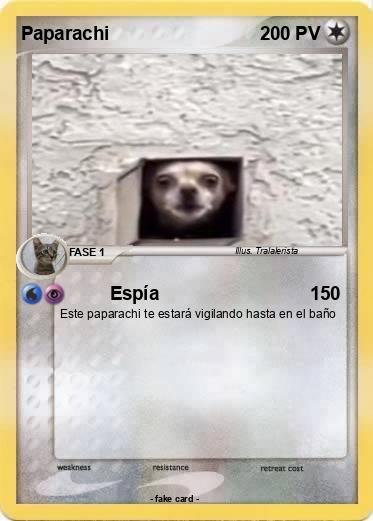 Pokemon Paparachi