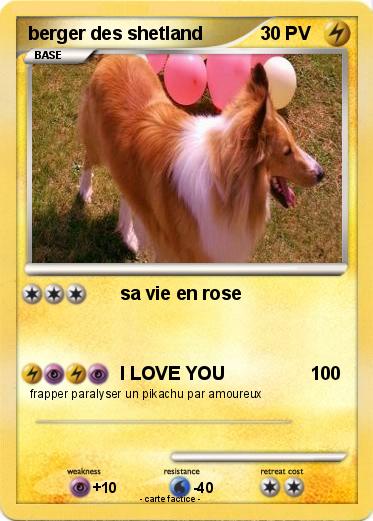Pokemon berger des shetland
