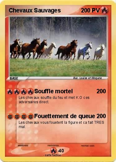 Pokemon Chevaux Sauvages