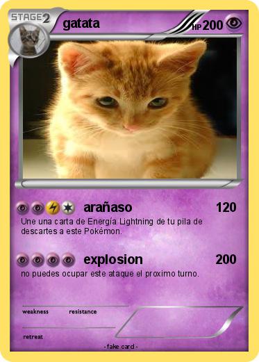 Pokemon gatata