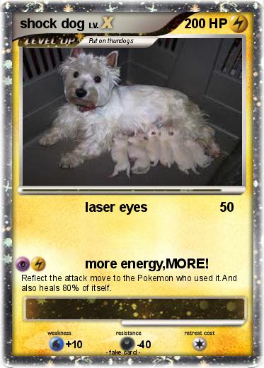 Pokemon shock dog