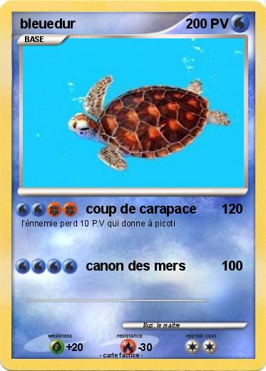 Pokemon bleuedur